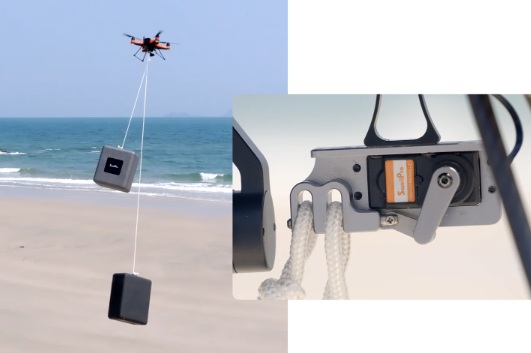 Two payloads